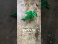 EPIC ORIGAMI HYDRA DRAGON 3 HEADED DRAGON ORIGAMI WORLD TUTORIAL DIY PAPER DRAGON STEP BY STEP