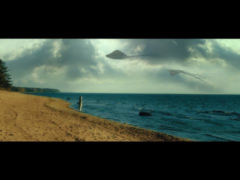 feellove - If I could hold it (official video)