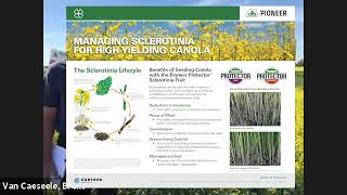 Pioneer Protector® Sclerotinia