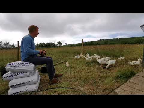 Where Are We Now? - Cormac Begley