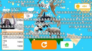 どうぶつタワーバトル150勝したら1位とれるのか??←任天堂ダイレクト最速映像付きミラー配信 【おおえのたかゆき】【2024/08/27】