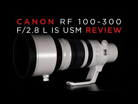 Canon RF 100-300 f/2.8 Testbericht