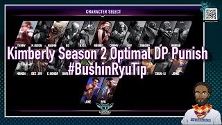 DP Punish