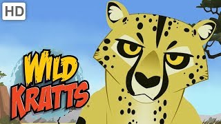 Wild Kratts 🐆🐈🦁 Cool Cats  Kids Videos