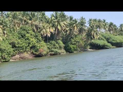 #shorts #Nature's Love🥰#vlog with sunitha