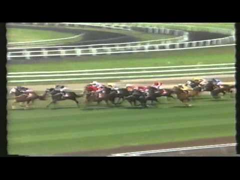1996 - Rosehill Guineas.WMV