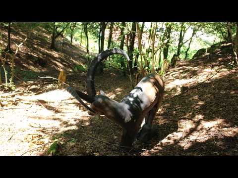 3D Bogenparcourtest Klamschlucht Saxen März 2017