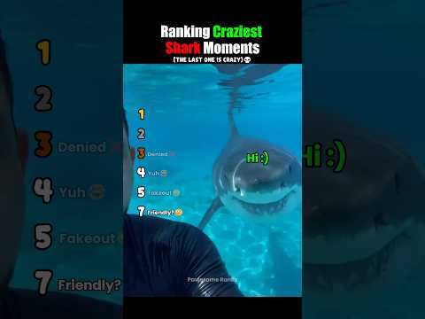 Ranking Craziest Shark Moments #usa