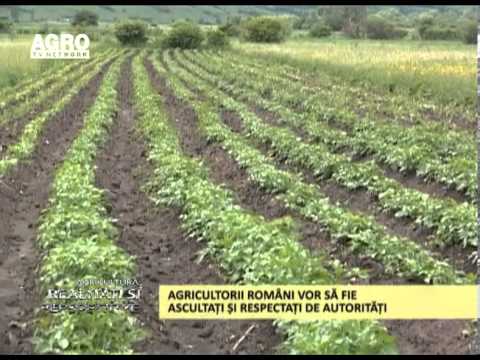 Realitati si Perspective 21 07 2013