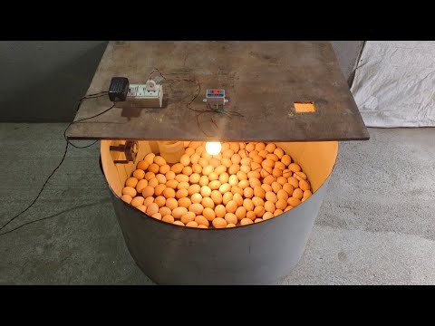 How to make Full Automatic Egg Incubator At home - Hatch 200 CHICKS