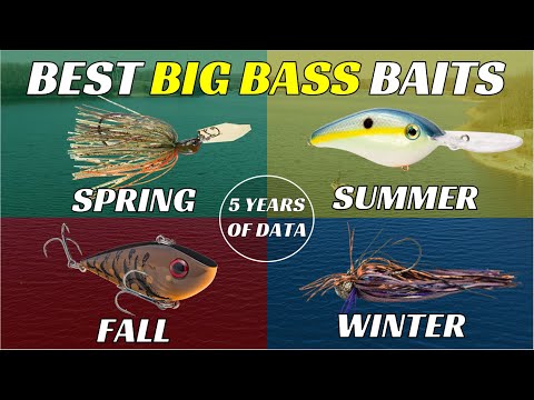 Watch Best Lures for Big Bass Backed By 5 Years Of Data