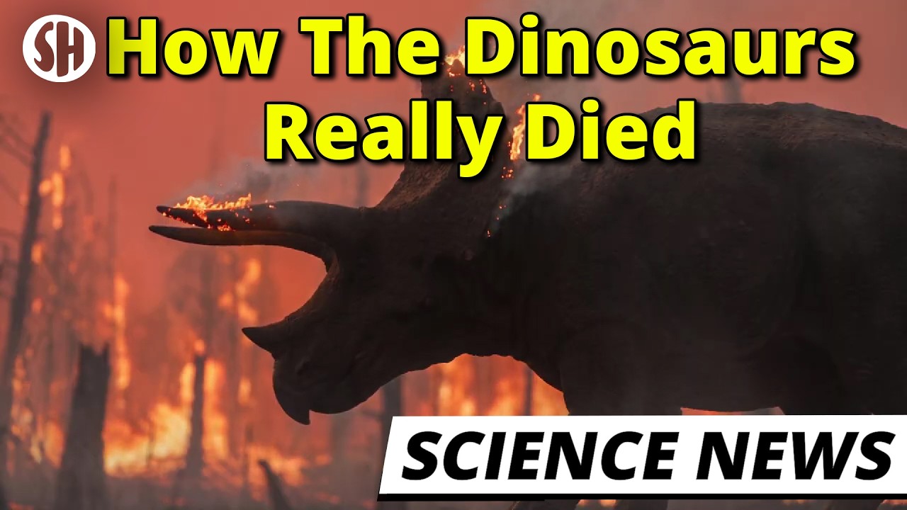 Dinosaurs Were Cooked Alive Within Hours, Scientists Find