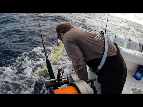 He Immediately Regretted Asking Me to Go Fishing￼! 🤮 (Catch & Cook)￼