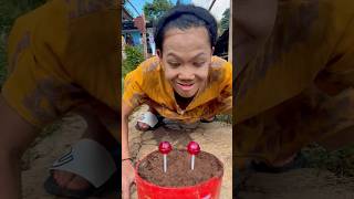 Ini permen musik stroberi ditelan joget