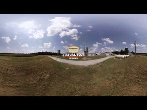 Smithfield Sow Farm 360° Virtual Tour