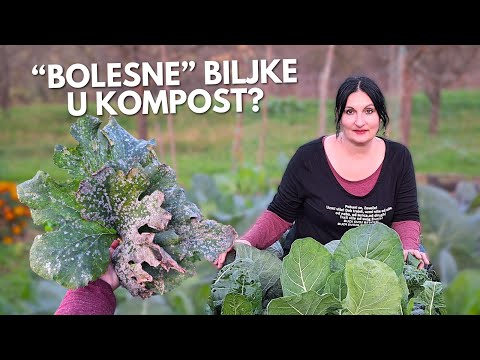 Are "Sick" Plants COMPOSTED?