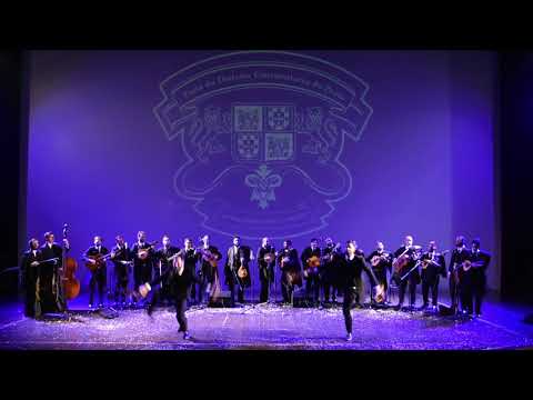 Tuna do Distrito Universitário do Porto