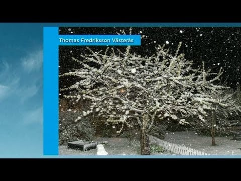 Snö i Västerås på första maj - Nyhetsmorgon (TV4)