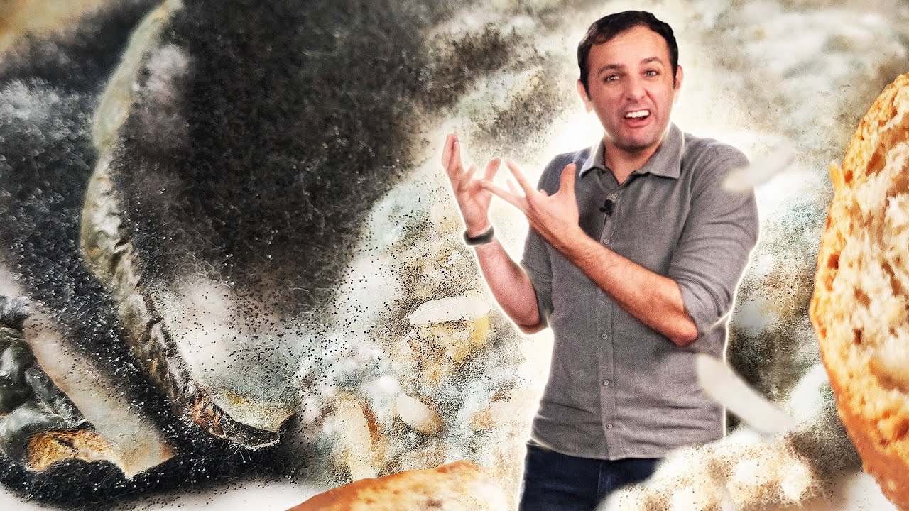 O BOLOR de um jeito que VOCÊ NUNCA VIU