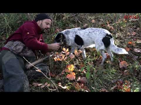 A pesquisa sobre Tartufo com Nazzareno Polini