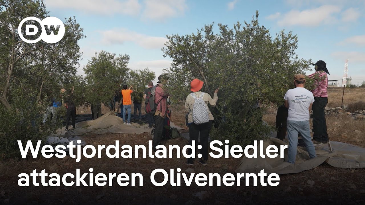 Angriffe bei Olivenernte: Jüdische Siedler bedrohen Palästinenser | DW Nachrichten