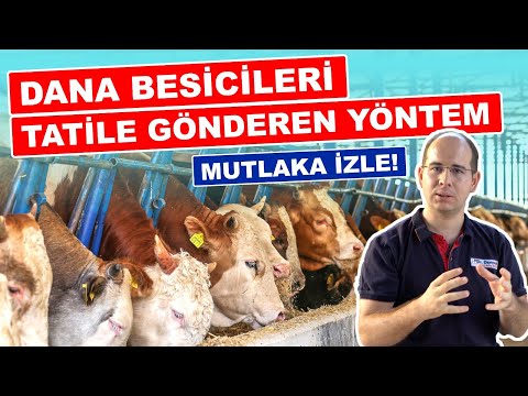 , title : 'Dana Besicileri Tatile Gönderen Yöntem'
