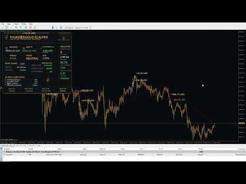 Video ThunderGold Scalper