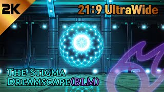 [파이널 판타지14] - 스티그마-4(흑마도사 시점) / FFXIV The Stigma Dreamscape(BLM)