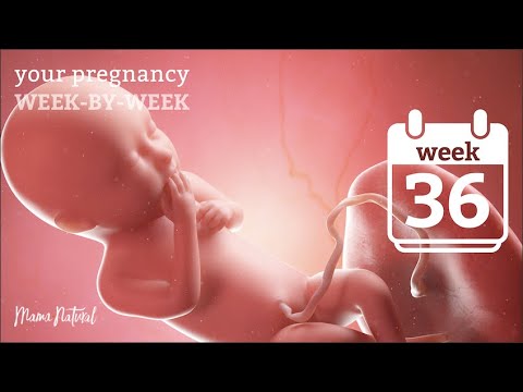 36 Weeks Pregnant - Natural Pregnancy Week-By-Week