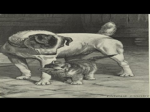 Why Cats Don't Play Fetch: A Brief History of the Domestication of Cats & Dogs [Documentary]