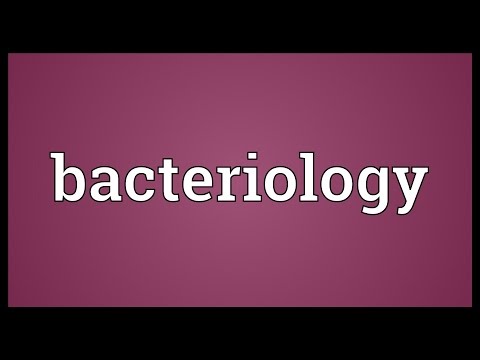 Bacteriology Meaning