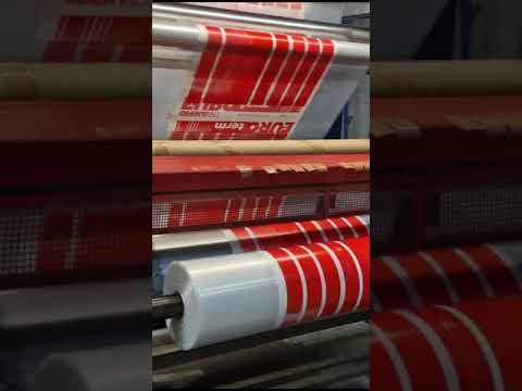 Filippini & Paganini 1600 P240906069