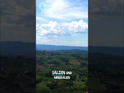 Medana: Das Geheimnis des Weins! Mikroklima-Wunder erklärt! #shorts