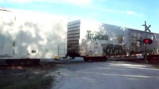 preview picture of video 'Csx Tropicana Juice Train Hawthorne,Fl'