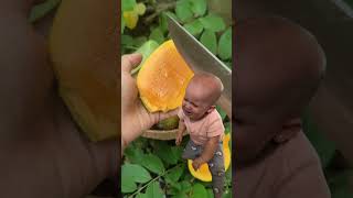 Download lagu cut the mango until it's not ripe🥭#fruit#gardening mp3 Download lagu cut the mango until it's not ripe🥭#fruit#gardening mp3
