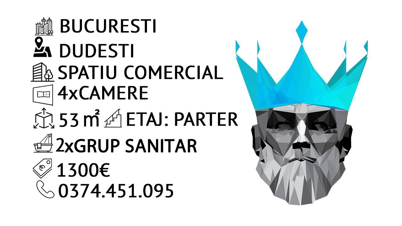 Tur video  Spatiu Comercial Stradal – Calea Dudesti 48 mp