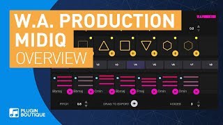 Video thumbnail for MIDIQ by W.A. Production | Chord Progression Generator VST Plugin | Tutorial by Plugin Boutique