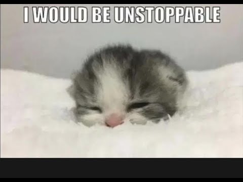 Eepy