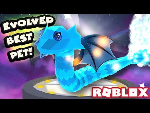 GETTING SHINY DRAGONFLYD & DROGAN THE BEST EVOLVED PET! | Roblox Pet Trainer Simulator