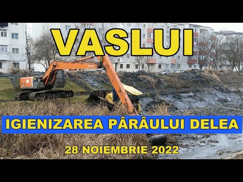 Orasul VASLUI Decolmatare pârâu Delea zona Podul de fier