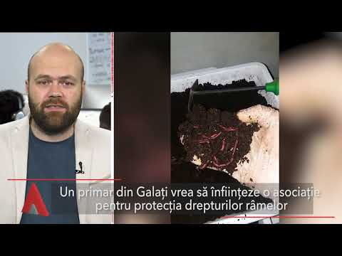 Stiri Mediafax 18 Noiembrie - Protecția râmelor, în atenția primarului din Galați