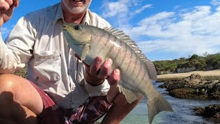 Download Lagu Winter Luderick Blackfish Fishing Coffs Harbour, WILL A $1 FLOAT WORK Thumbnail