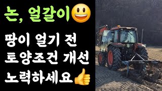 논, 얼갈이???? 무에서 유???? 농장, 하나씩 만들어가는 행복 ???? 