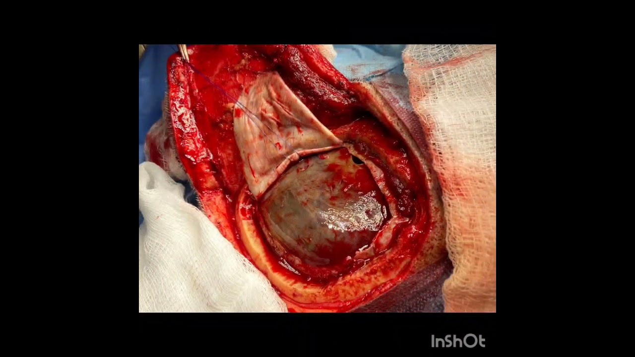 Alejandro Villaseñor Maldonado-51