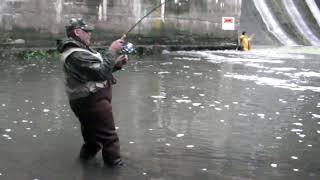 preview picture of video 'salmon fishing burts dam 18 mile creek new york'