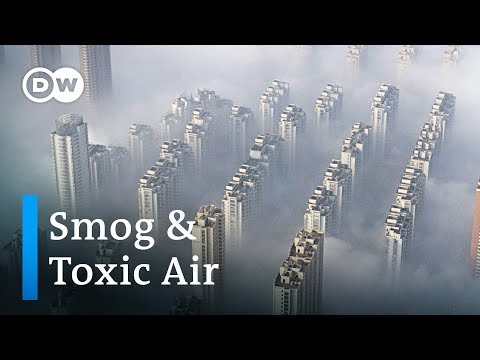 How much does smog and air pollution shorten our lives? | DW News