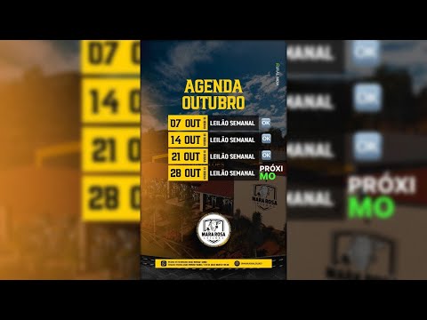 MARA ROSA LEILÕES - GOIÁS - LEILÃO DE GADO DE CORTE 28/10/2025