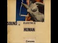 Robert Pollard's Finest Works - Playlist #2 - Sound By Electric Human Canoes