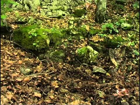 Velebitskim markacijama - SREDNJI VELEBIT (peti dio)