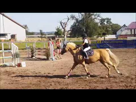 Malu (10) und Duebaree - A** mit steigenden Anforderungen in Bendorf am 24.08.2019